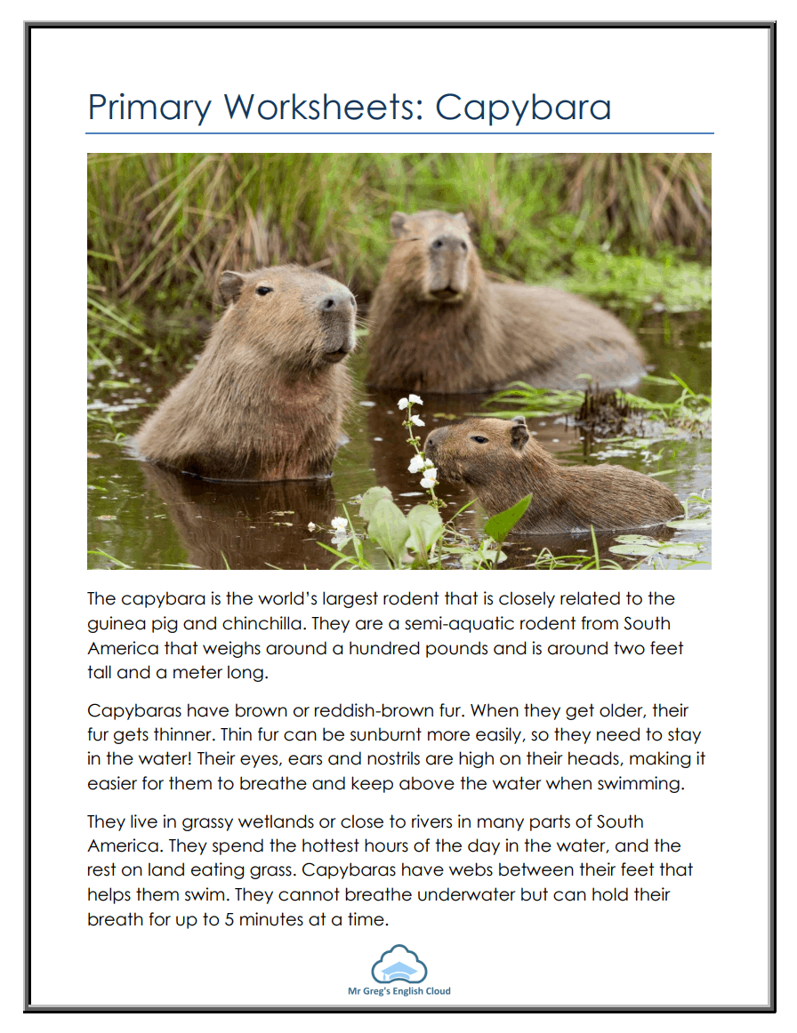 Colorful worksheet featuring facts about capybaras and their habitat for second graders