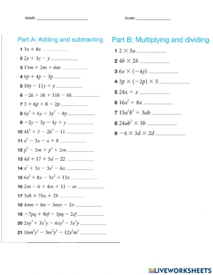 Fifth grade student solving division problems in an algebraic expressions worksheet