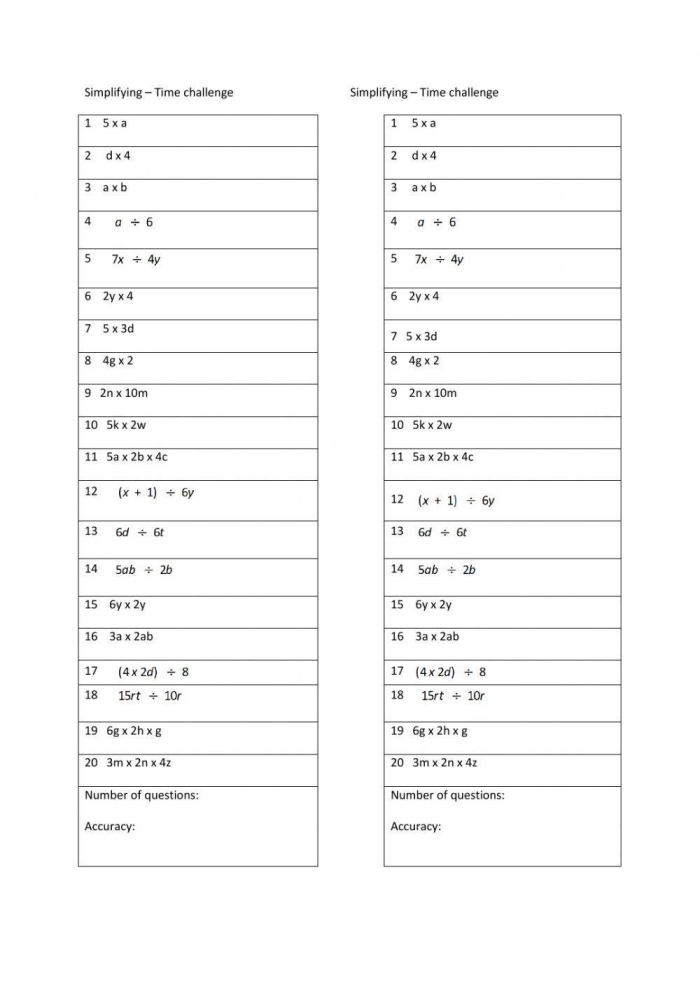 Fifth grade student working on algebraic expressions division worksheet