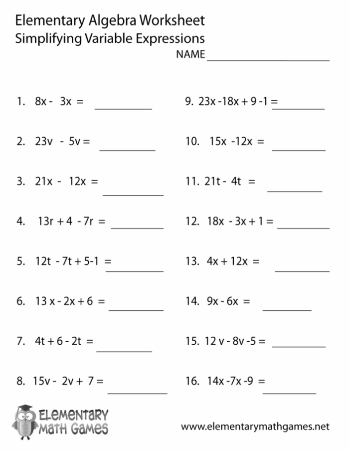 Fifth grade student practicing division in algebraic expressions worksheet number six