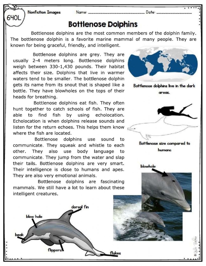 Fifth grade students reading a worksheet about dolphin facts covering evolution and behavior
