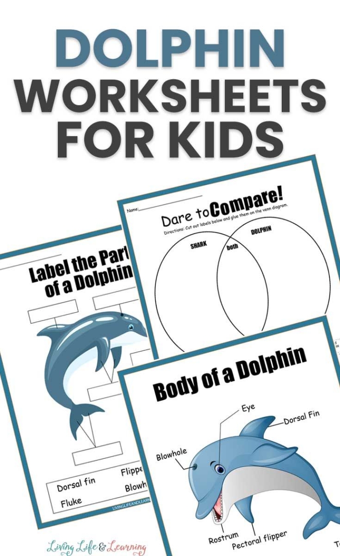 Fifth grade children reading a worksheet about dolphin evolution and behavior
