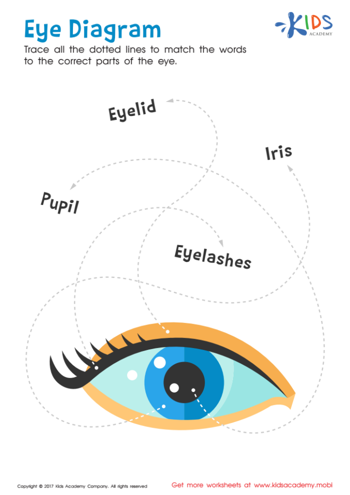 Coloring worksheet of the human eye for fifth grade anatomy study
