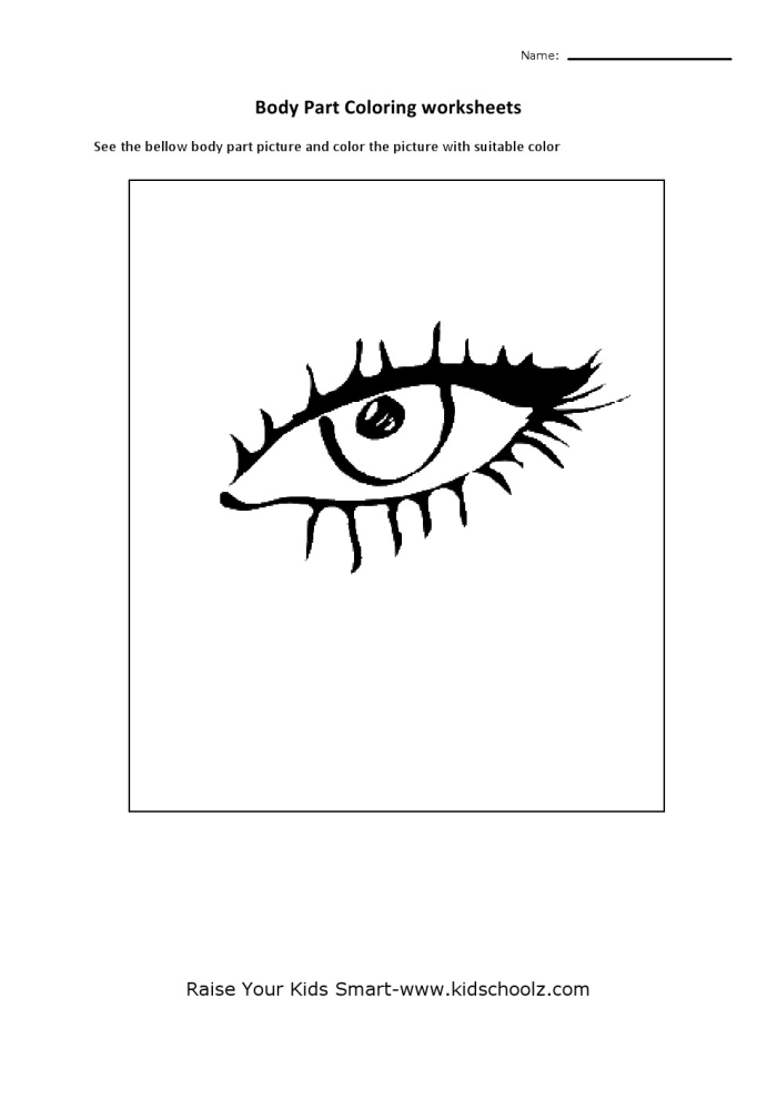 Fifth grade anatomy worksheet focusing on the parts of the human eye for coloring and study