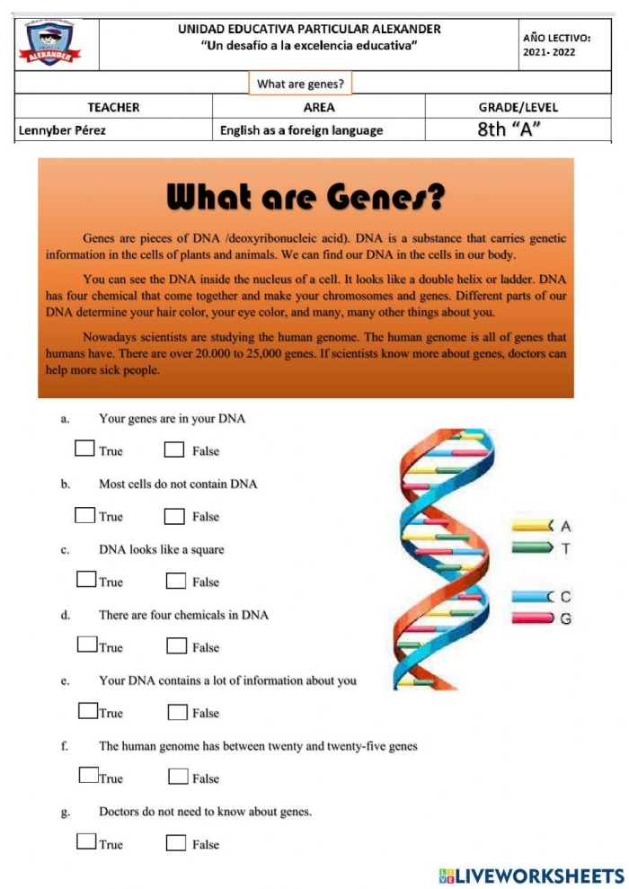 Explore What is a Gene with Steve in this engaging educational worksheet for kids Fifth grade life science worksheet featuring Steve the savvy scientist explaining genes and their role in traits