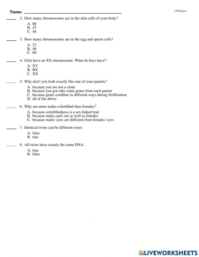 Explore the basics of genes with Steve in this engaging fifth grade worksheet on genetics Fifth grade life science worksheet featuring Steve the scientist explaining genes and traits