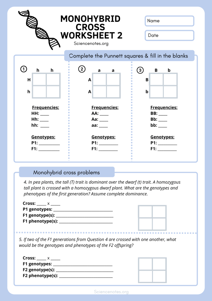 Steve the savvy scientist introduces genes on worksheet number 24 for fifth graders Illustration of Steve the scientist explaining genes on a fifth grade life science worksheet