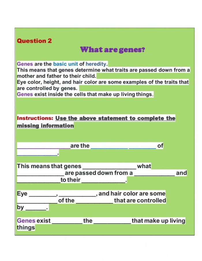 Discover how genes influence traits in this What is a Gene worksheet with Steve the scientist Fifth grade life science worksheet explaining genes with cartoon scientist Steve
