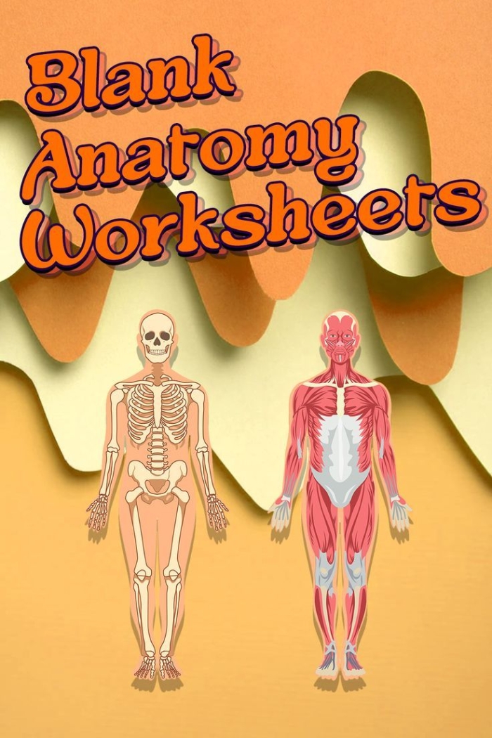 Fifth Grade Spanish worksheet showing a detailed heart coloring page from Awesome Anatomy If I Only Had a Heart