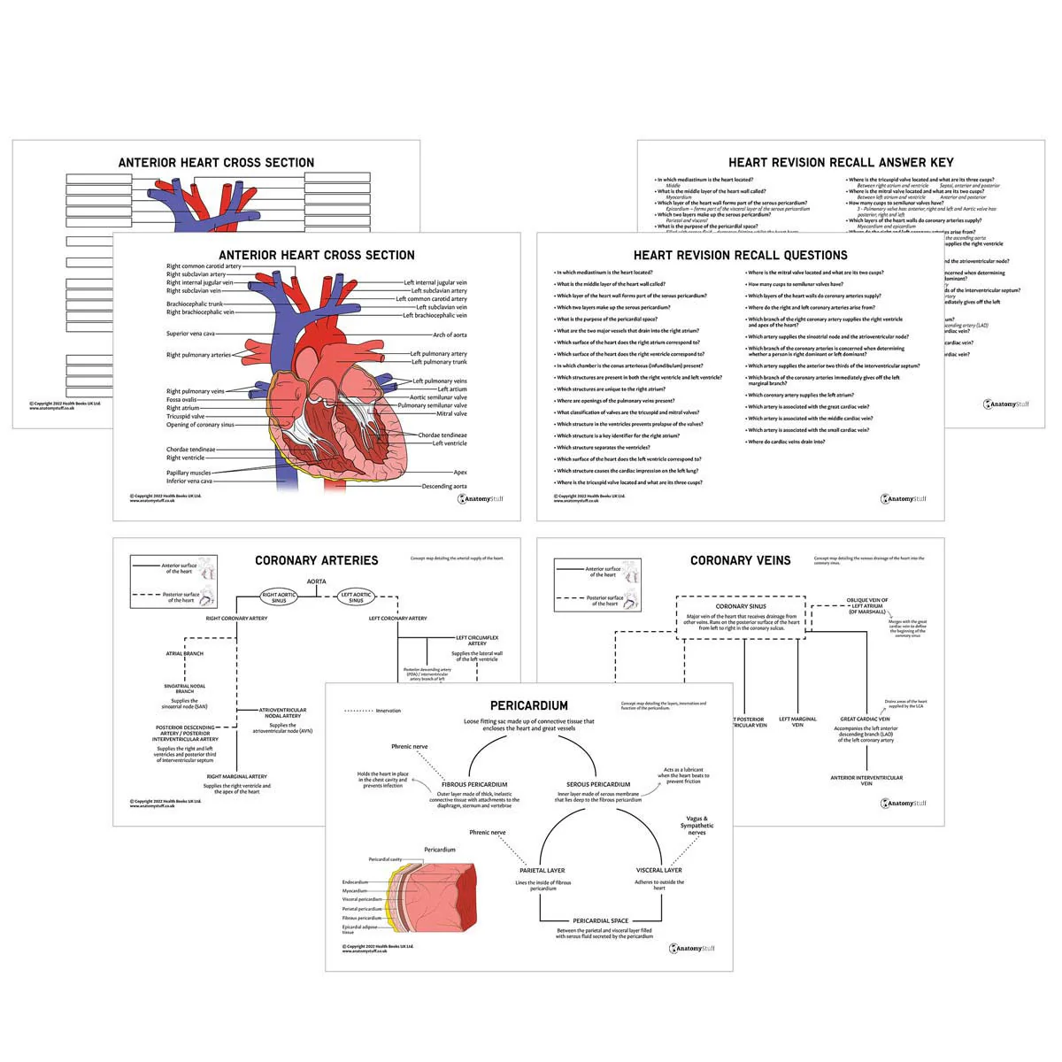 Fifth grade Spanish worksheet showing detailed heart anatomy for coloring