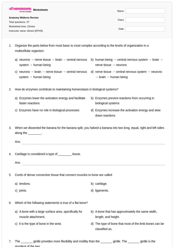Fifth grade Spanish worksheet page showing a detailed heart diagram for coloring and labeling