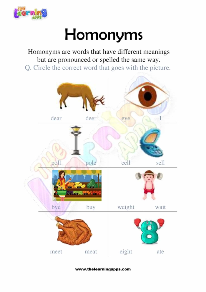 Fifth grade History worksheet featuring homonym clues and answers