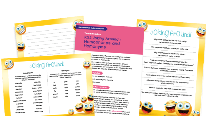 Fifth grade history worksheet featuring homonym puzzles and clues