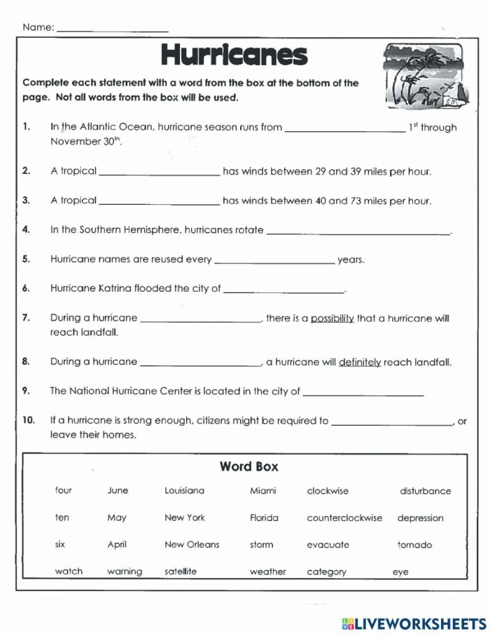 Fifth grade Learn About Hurricanes worksheet featuring a story about Dorothy and a hurricane