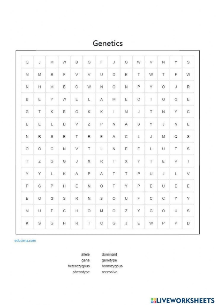 Explore the basics of genes with Steve in this engaging educational worksheet for fifth graders Fifth grade life science worksheet featuring Steve the savvy scientist explaining genes and traits