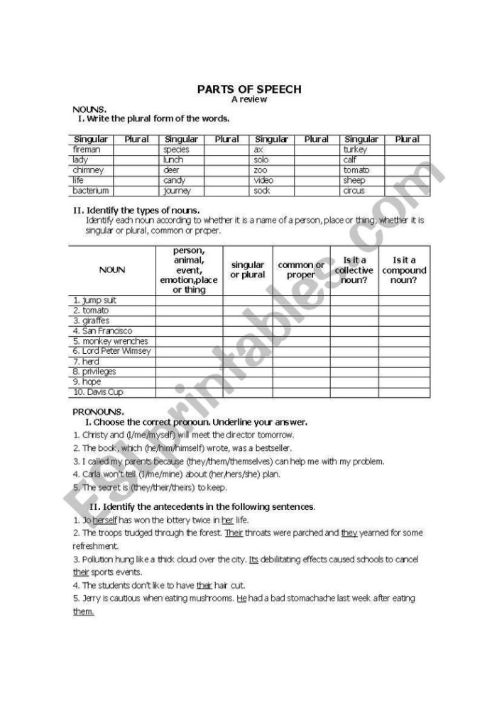 Worksheet image showing parts of speech review activity for fifth grade reading students, image 11 Fifth grade student completing a Reviewing Parts of Speech worksheet focusing on word functions in sentences