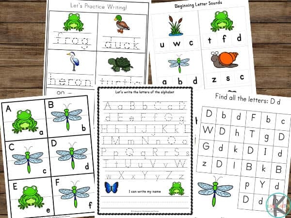 Prefix Pond worksheet for enhancing grammar skills in elementary students Worksheet activity for fifth graders on identifying prefixes in words