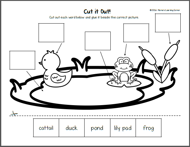 Grammar and Mechanics worksheet for Fifth Grade Worksheet for fifth graders on prefixes, featuring word sorting and deconstruction activities. Prefix Pond worksheet for grammar and mechanics practice.