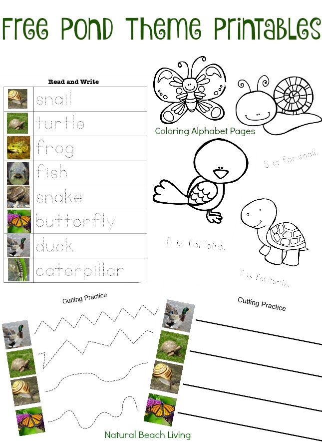 Prefix Pond worksheet for grammar and mechanics practice in fifth grade Worksheet for fifth graders focusing on prefixes with sorting and deconstruction activities