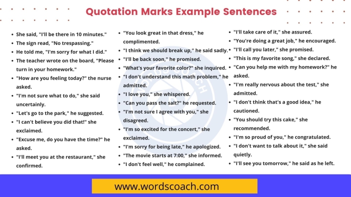 Worksheet for practicing quotation marks with a passage from The Secret Garden