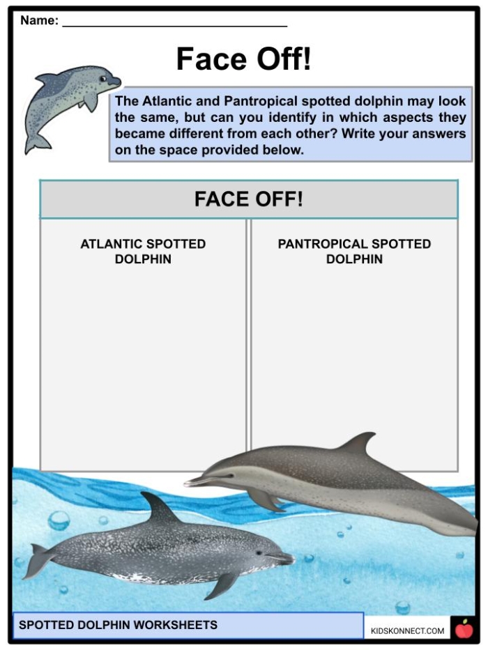 Fifth grade students completing a Dolphin Facts worksheet focused on phonics and reading comprehension