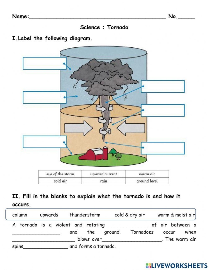 Fifth grade tornado fill-in-the-blank worksheet for science measurement