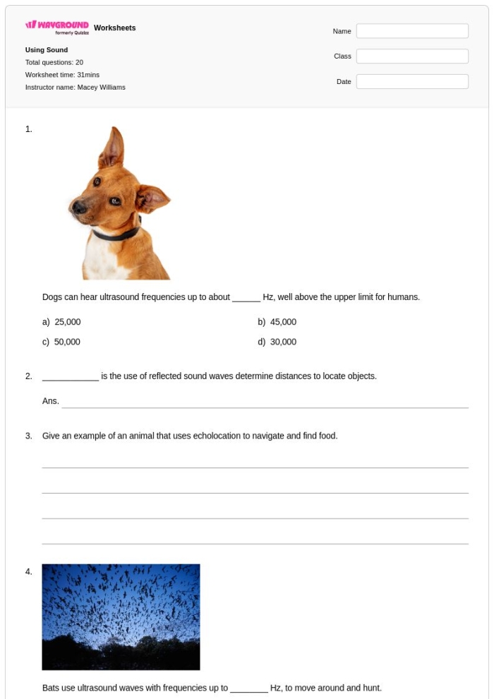 Understanding sound vibrations in a What is Sound worksheet for fifth graders Fifth grade worksheet explaining how sound is produced through particle vibrations
