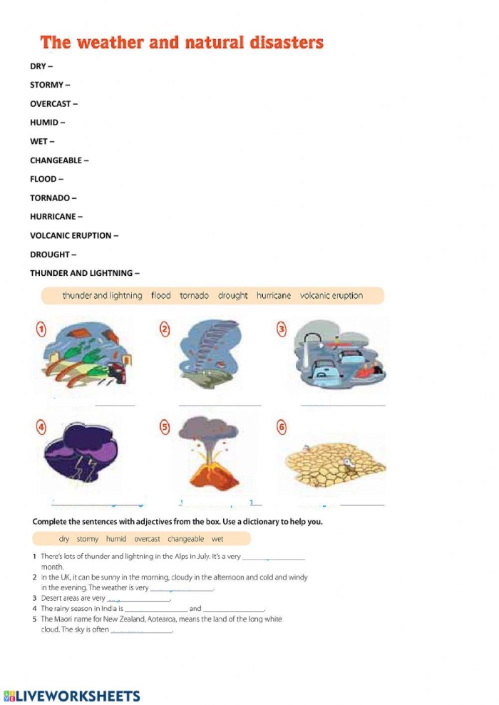 Illustration of weather event effects for a fifth grade science activity number six Fifth grade Weather Effects worksheet showing flow charts of storm impacts