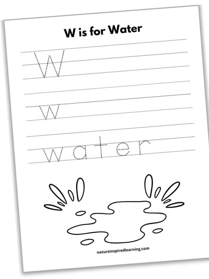 Practice Tracing the Letter W worksheet for Pre-K fine motor and letter formation skills Prekindergarten worksheet showing tracing lines and the letter W to build fine motor skills