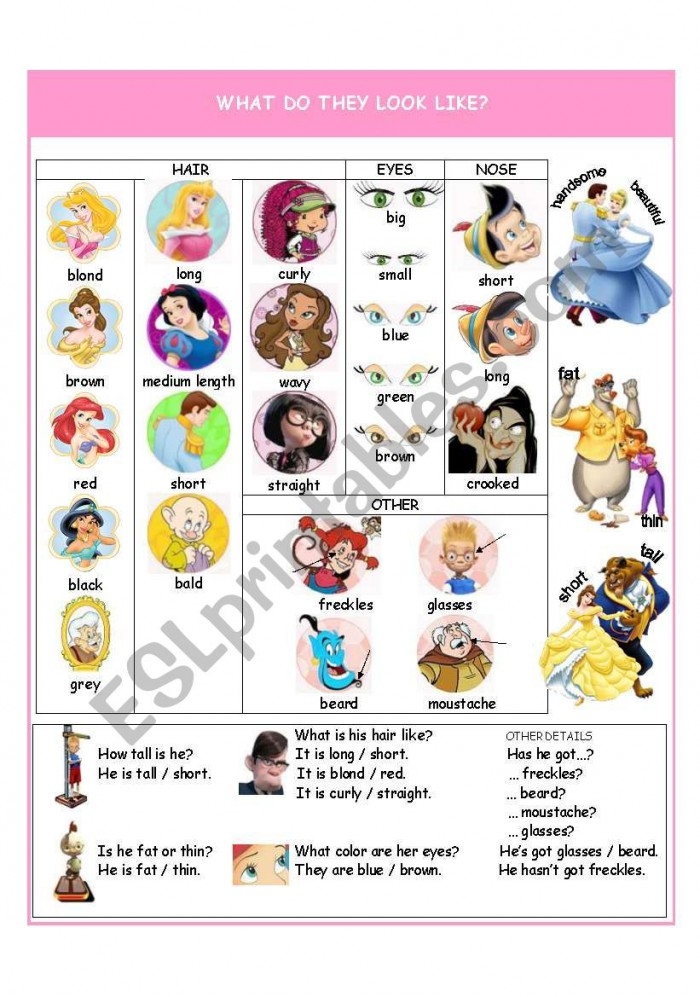 Worksheet 13 for exploring descriptive words in engineering and science inquiry First Grade worksheet on describing objects using adjectives from the What Does It Look Like? series