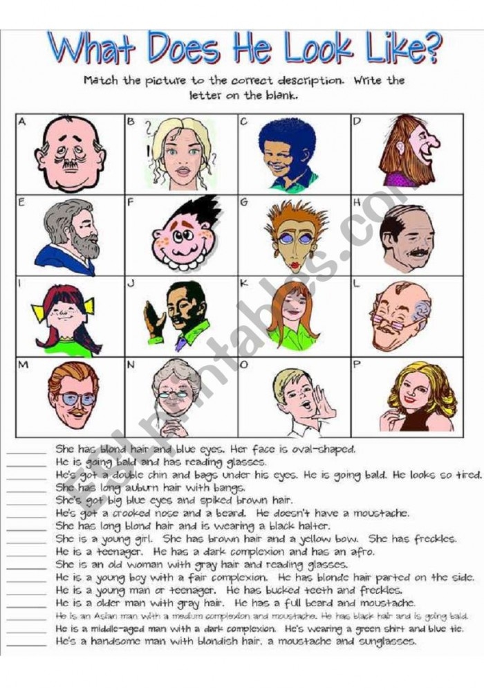 Exploring adjectives with the What Does It Look Like? worksheet for young learners, image 19 First Grade worksheet focusing on describing words and adjectives in the What Does It Look Like? series
