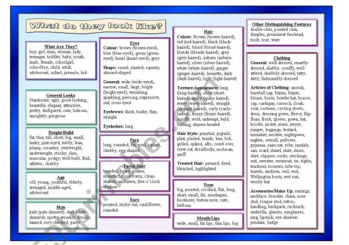 Engaging What Does It Look Like? worksheet for young learners to practice describing objects with adjectives First Grade worksheet focusing on adjectives and descriptive words in the What Does It Look Like? series