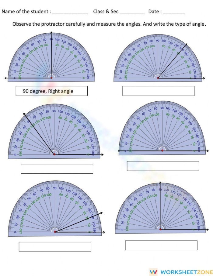 Explore angles with this engaging Let's See Those Angles! activity for young learners First Grade worksheet showing various shapes to identify and count angles for learning