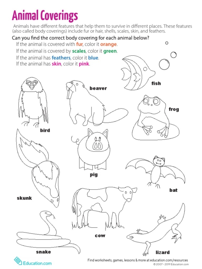 Animals with various body coverings for sorting activities
