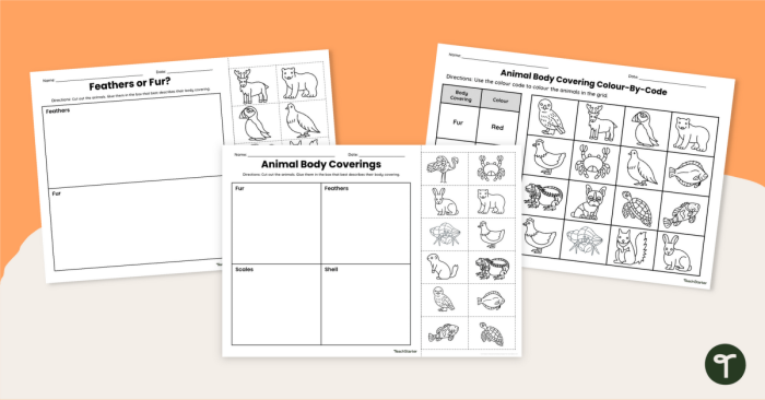 Illustration of various animals showcasing different body coverings for a first-grade life science worksheet