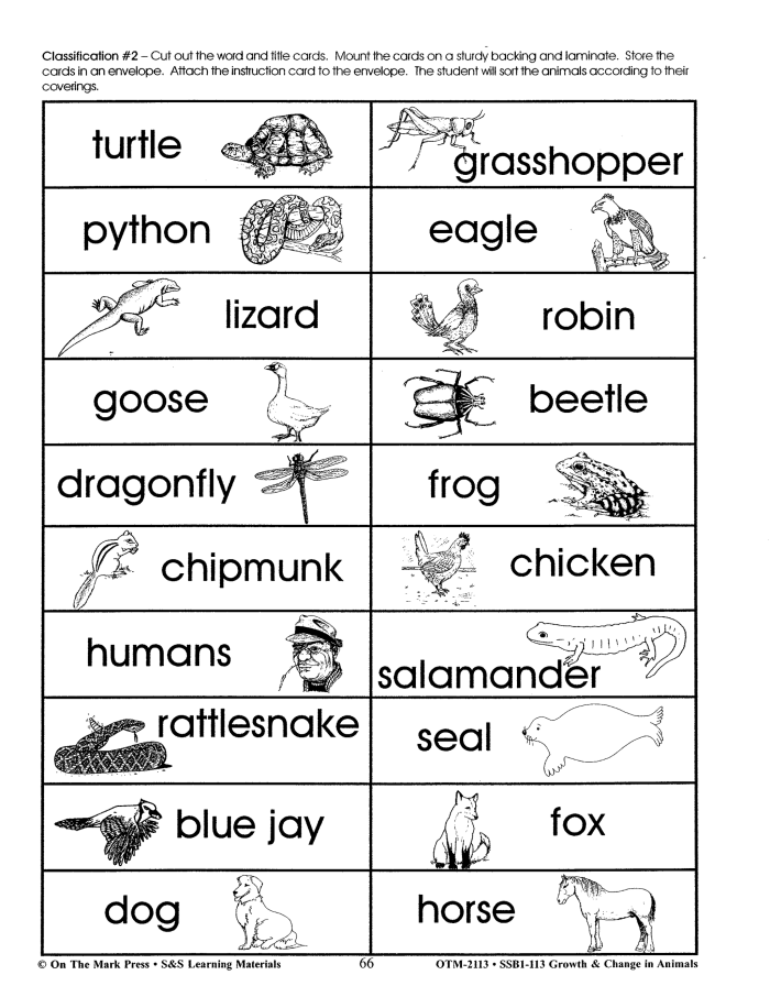 Colorful worksheet for first graders exploring various animal body coverings