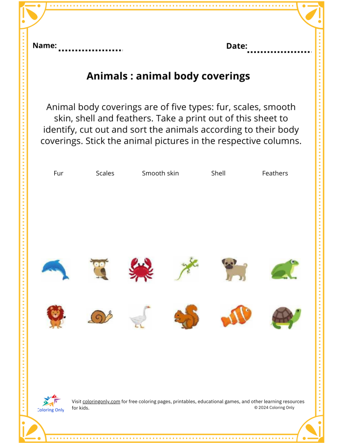 Colorful worksheet for first graders on animal body coverings, featuring various animals to categorize. Educational activity sheet illustrating different types of animal coverings for Life Science lessons.