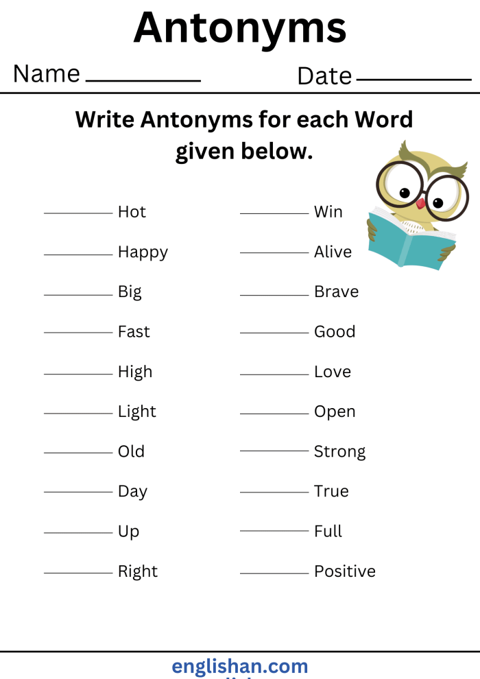 First grade vocabulary builder worksheet focused on antonyms matching exercises