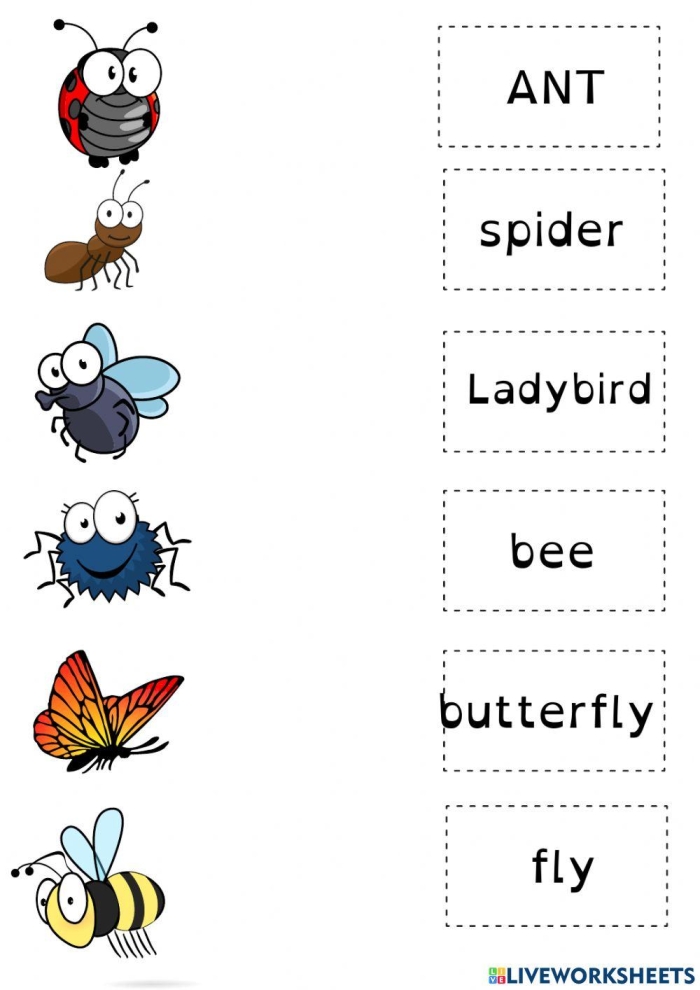 Engaging Bug and Spider Identification worksheet for young learners to enhance their handwriting skills Colorful worksheet for first graders on bug and spider identification featuring various insects and arachnids