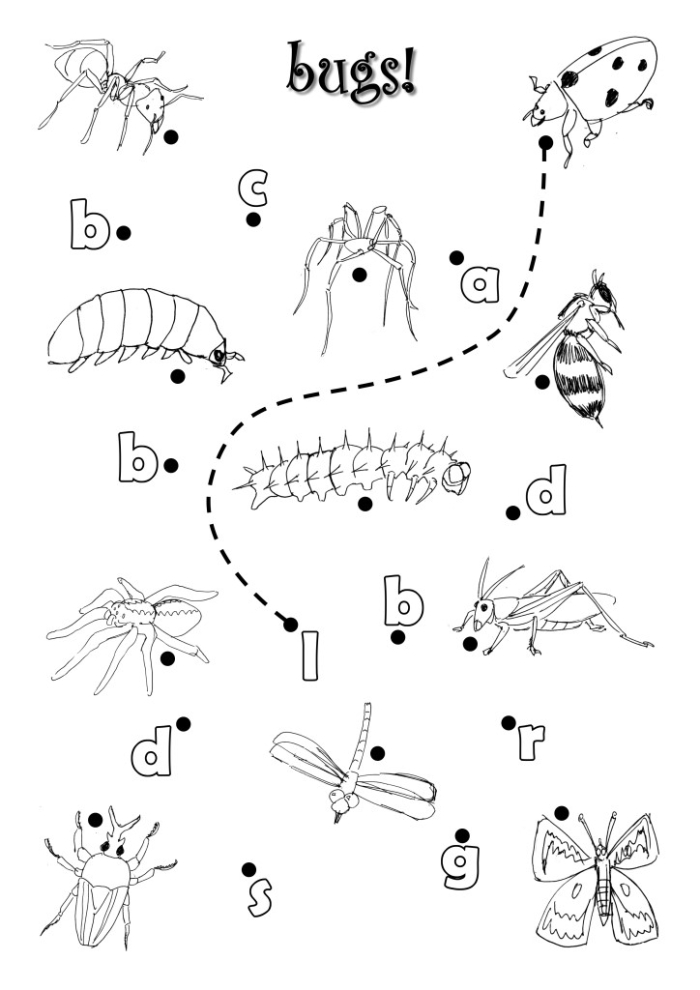 Handwriting worksheet for First Grade Colorful worksheet for identifying bugs and spiders, perfect for first graders. Bug and Spider Identification worksheet for handwriting practice.