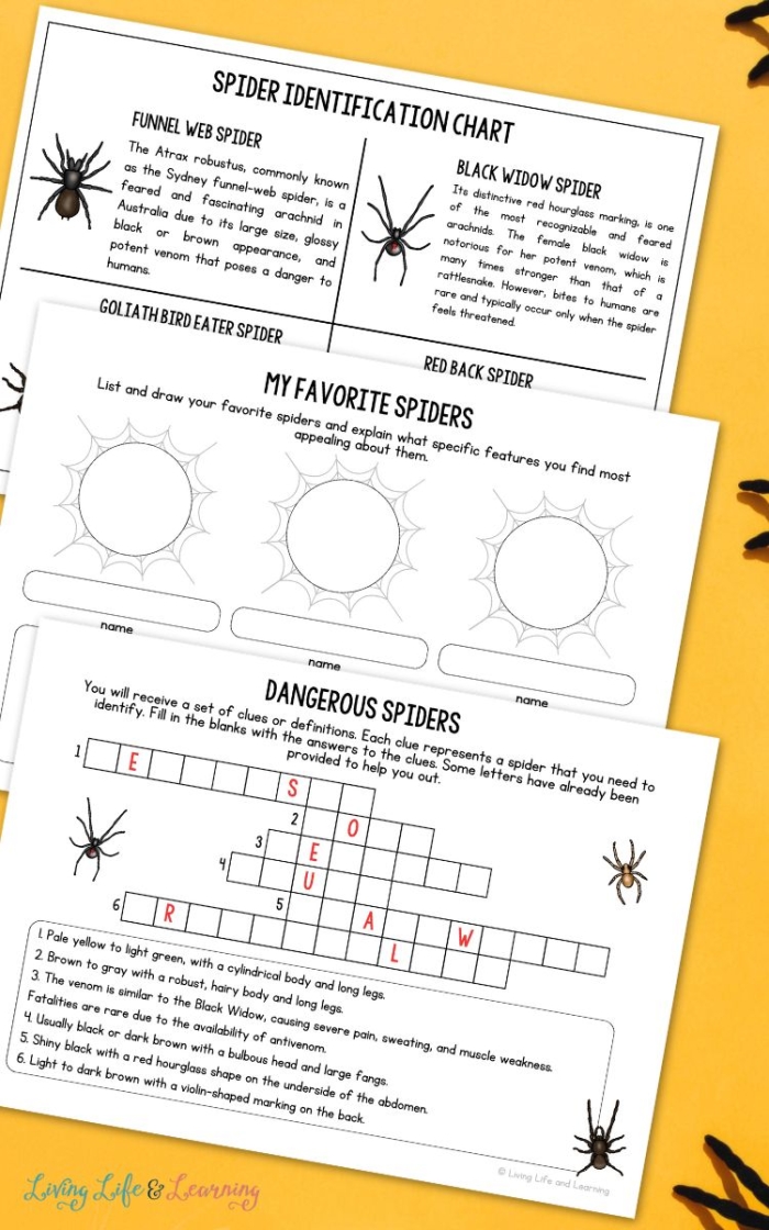 Bug and Spider Identification Worksheet for Grade 1 Colorful worksheet for first graders to identify bugs and spiders while practicing handwriting
