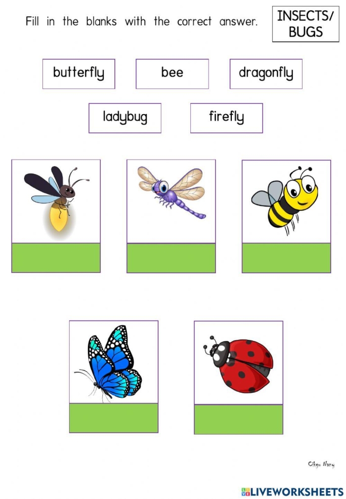 Bug and Spider Identification Worksheet for Young Learners Colorful illustration of insects and spiders for a first-grade worksheet