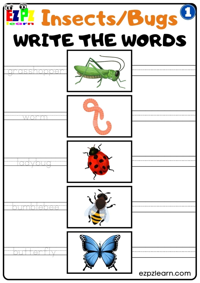 Engaging bug and spider identification activity for young learners Colorful worksheet featuring bug and spider identification for first graders