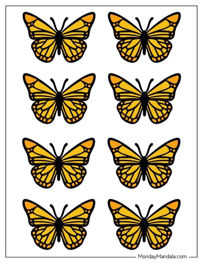 All About Butterflies worksheet for first graders focusing on subtraction skills Diagram of a monarch butterfly with labels for a first grade subtraction worksheet about butterflies