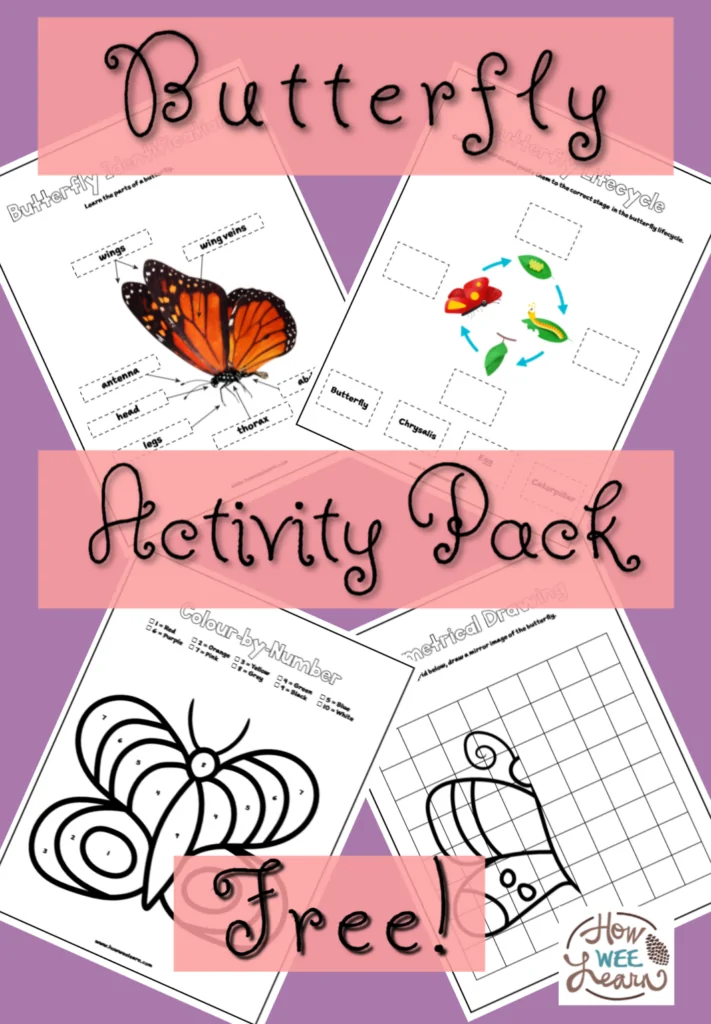 All About Butterflies Worksheet - Image 23 Illustration of a monarch butterfly diagram for a first-grade subtraction worksheet