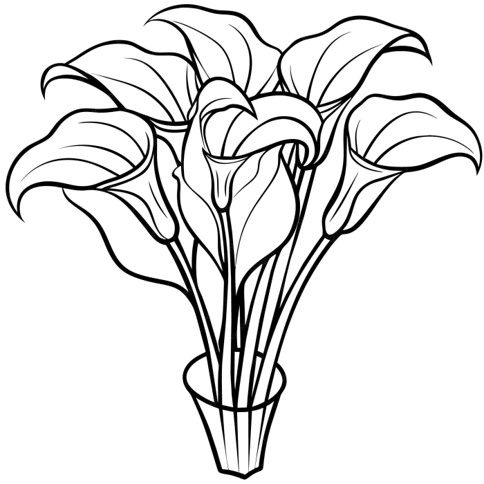 First grade students learn about calla lily flowers with a labeled diagram to explore and color during spring season