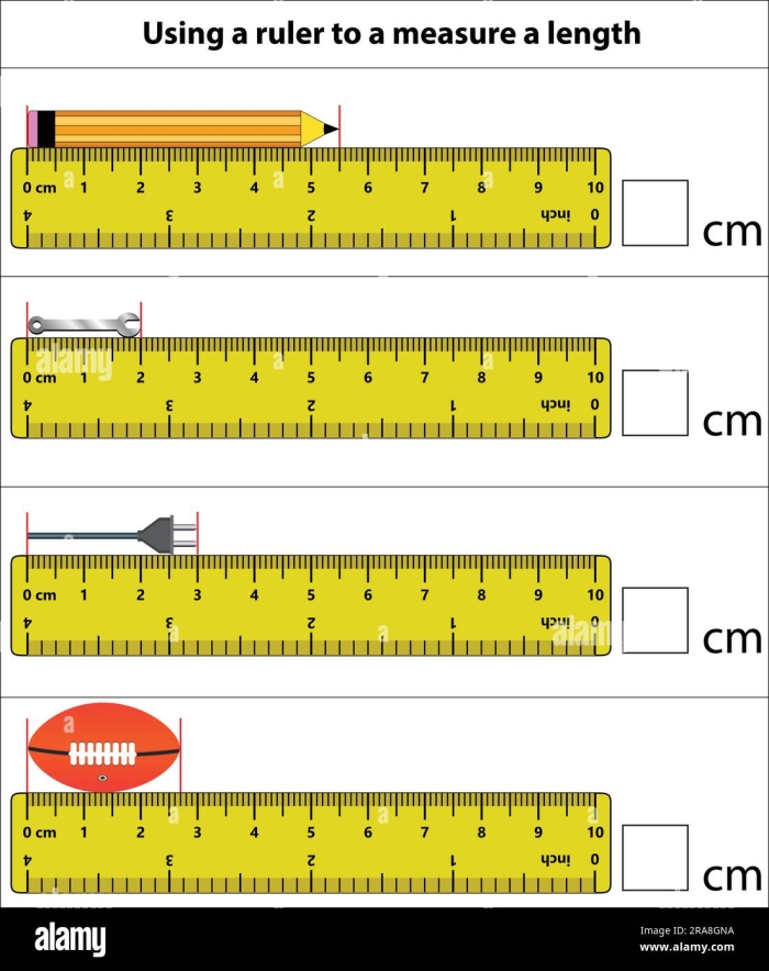 Colorful worksheet for practicing centimeter measurements in a first grade civics class First Grade measuring length in centimeters worksheet with colorful objects to measure