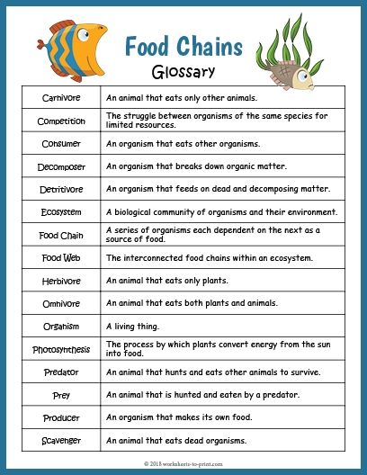 First grade glossary practice worksheet illustration Glossary worksheet for first graders to enhance their information locating skills