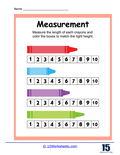 First Grade Life Science worksheet for measuring length of everyday items