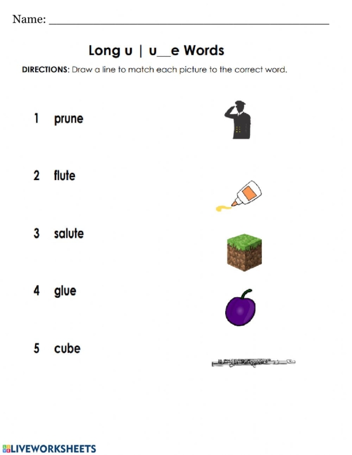 Worksheet for first graders focusing on long U vowel sounds with word and picture matching activities. Educational resource for mastering long U words in reading.